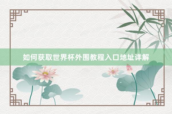 如何获取世界杯外围教程入口地址详解
